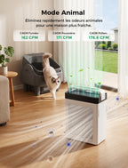 Cypcat Pet Air Purifier, Dual Intake Captures Pet Fur, PAP001