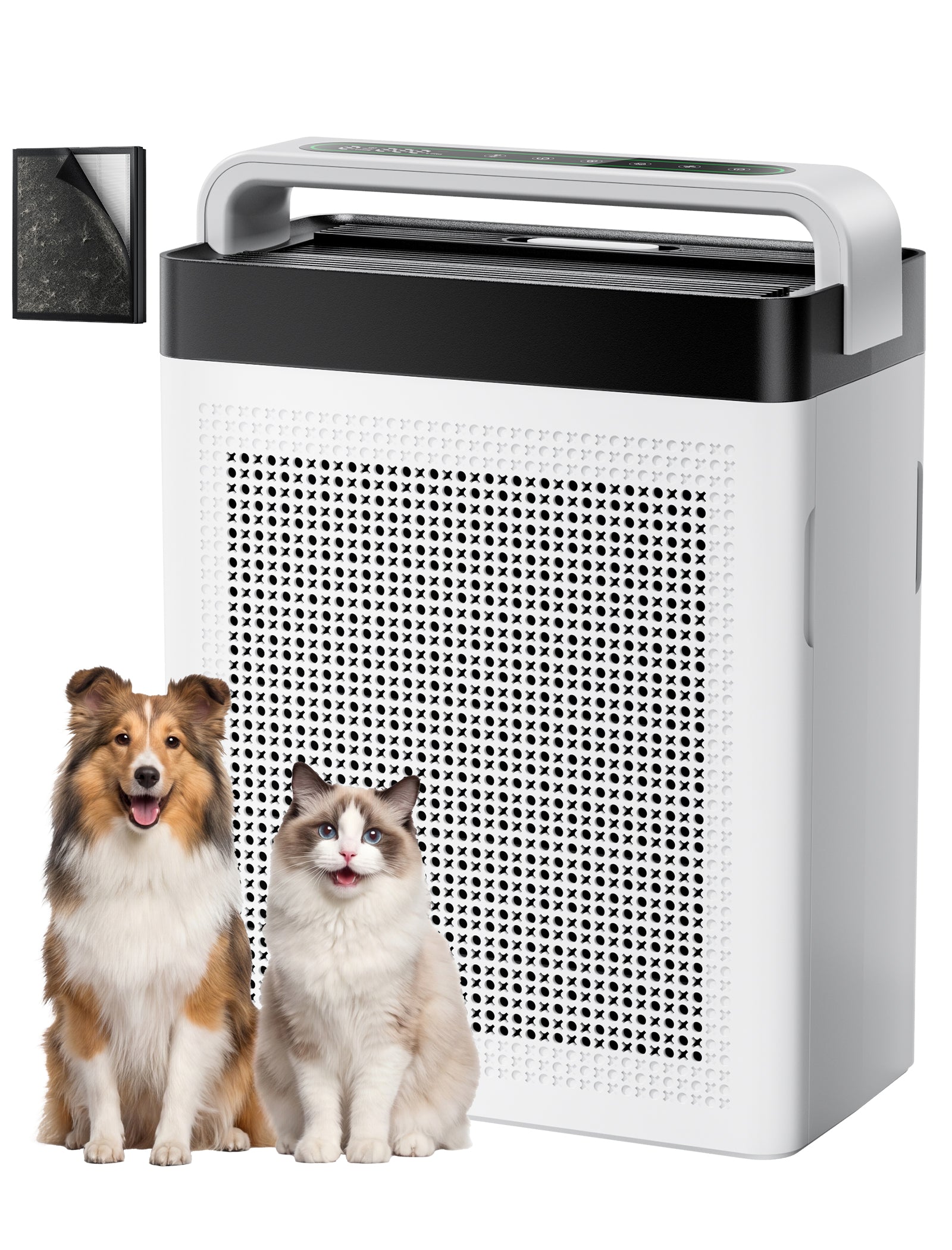 Cypcat Pet Air Purifier, Dual Intake Captures Pet Fur, PAP001