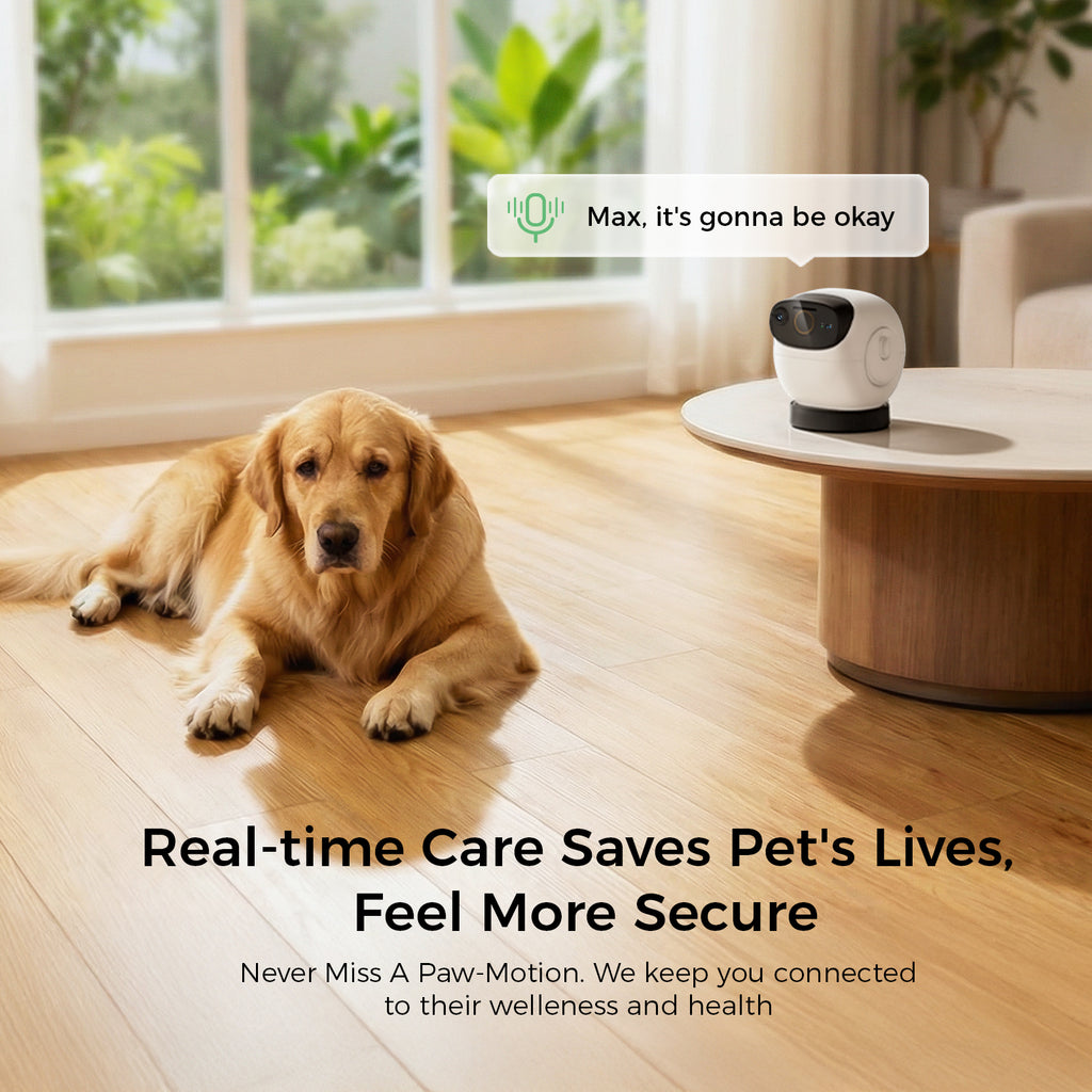 3K Pet Camera Treat Dispenser Robot M3