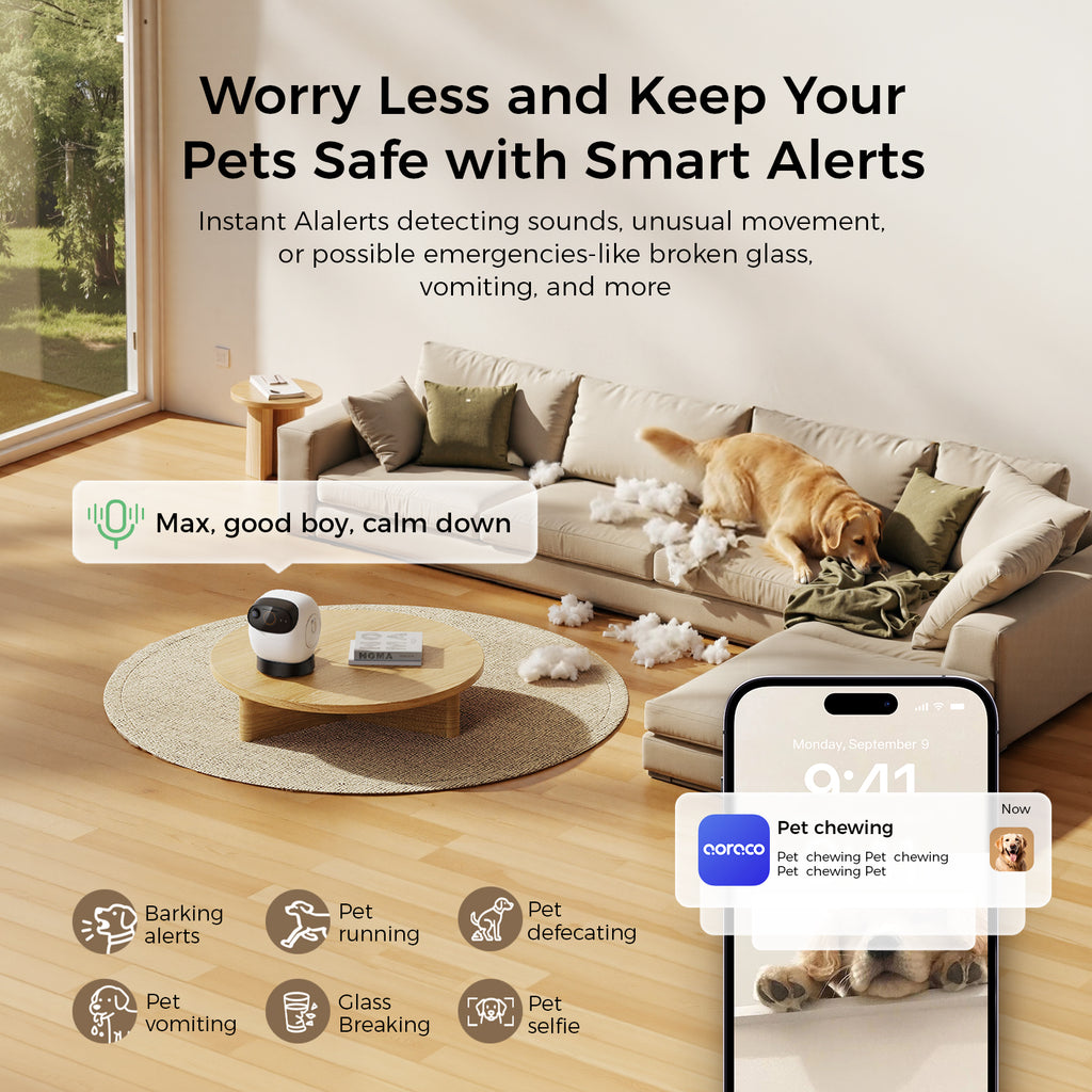 3K Pet Camera Treat Dispenser Robot M3
