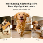 3K Pet Camera Treat Dispenser Robot M3