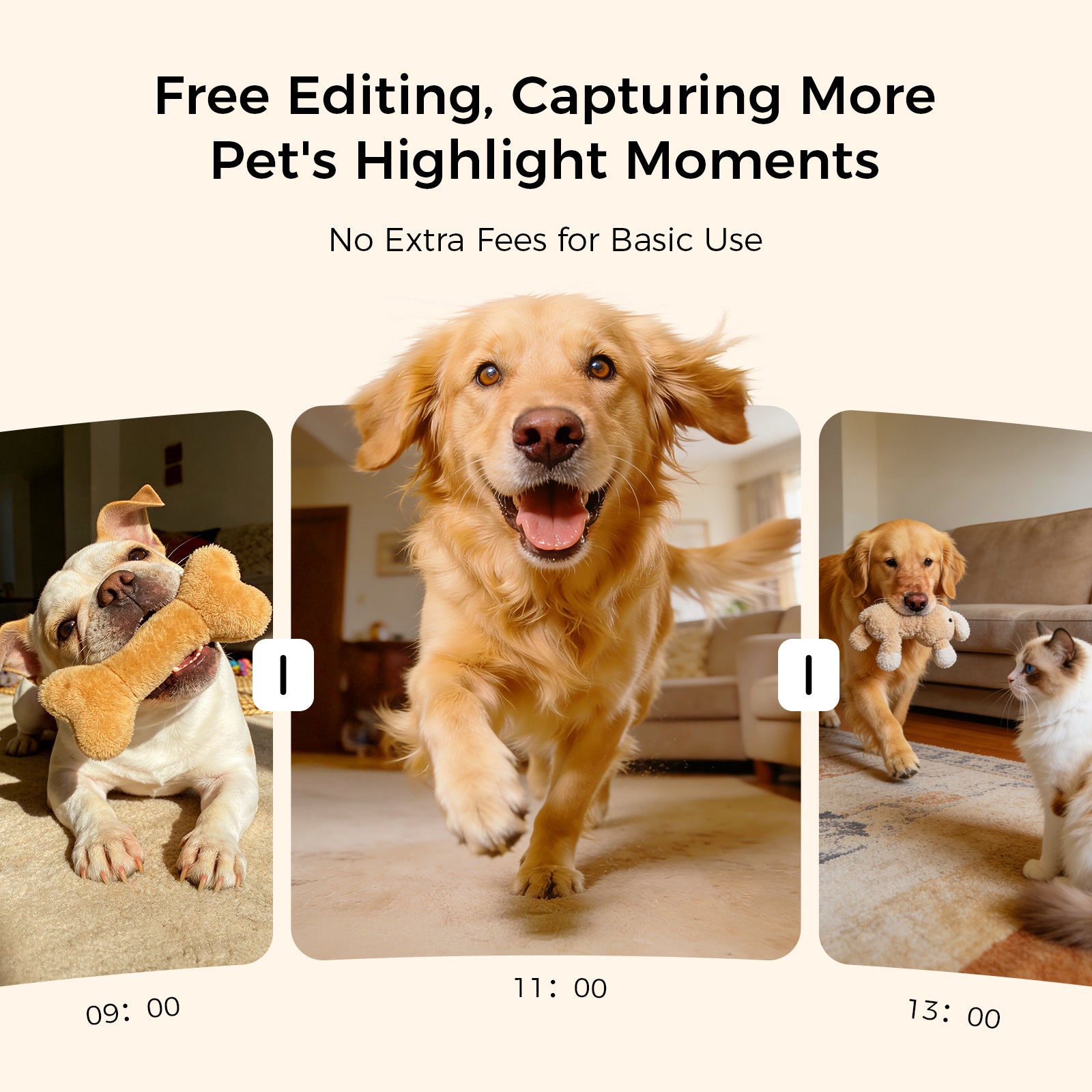 3K Pet Camera Treat Dispenser Robot M3