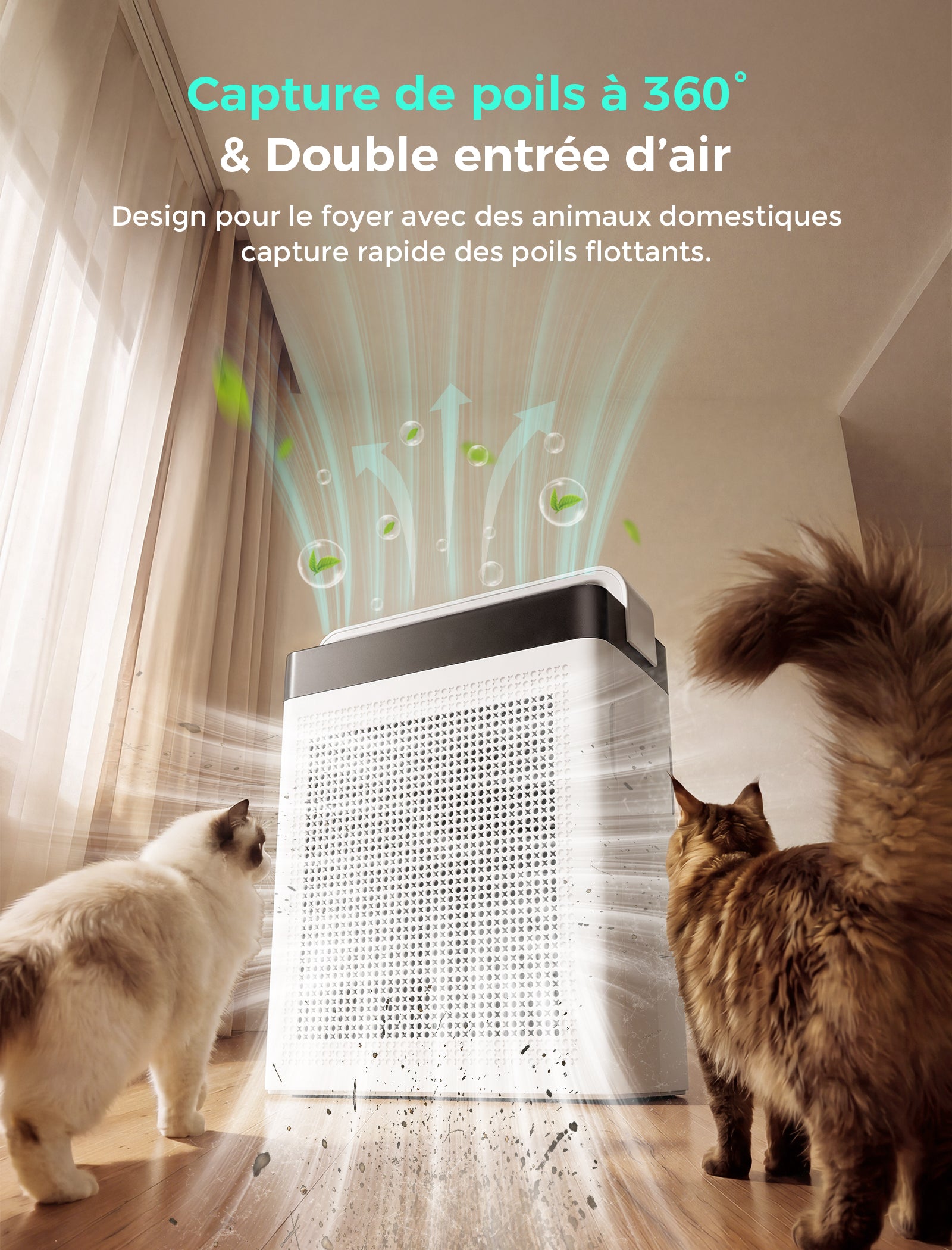Cypcat Pet Air Purifier, Dual Intake Captures Pet Fur, PAP001